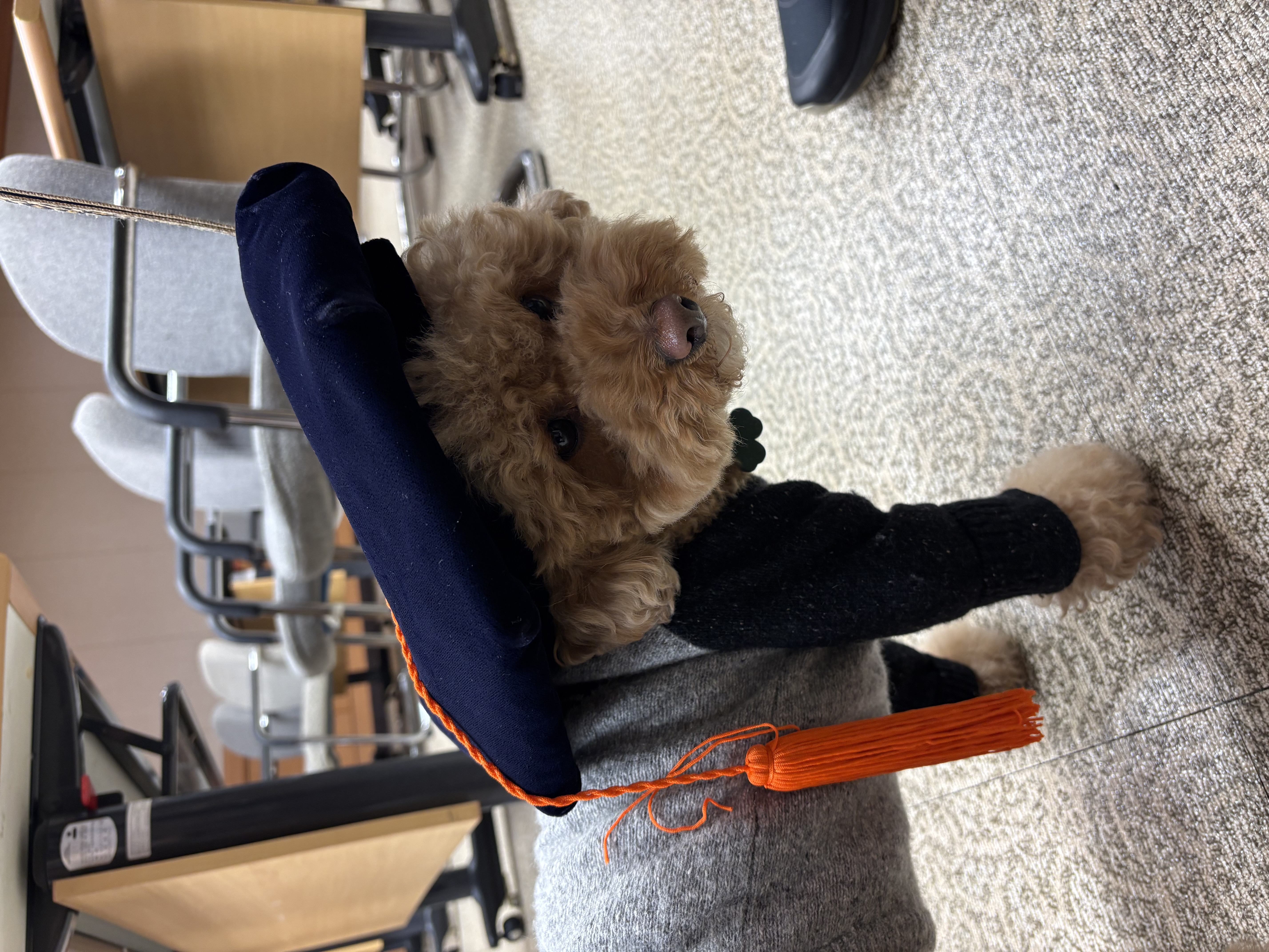 KakaoTalk_20260222_162201935.jpg 첨부 이미지